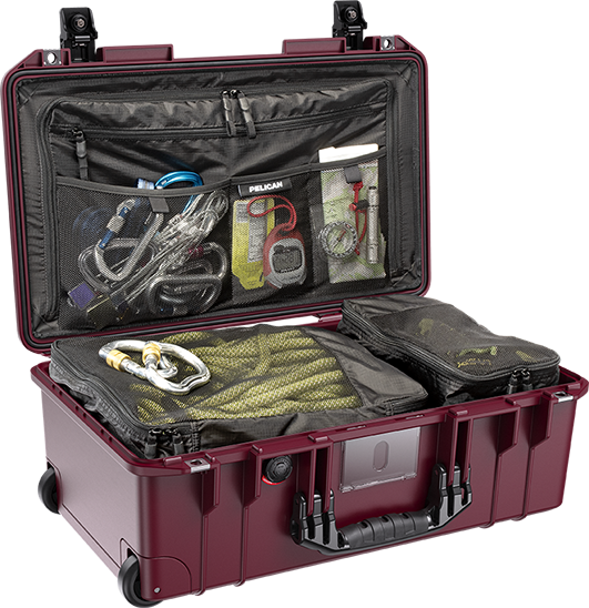 Pelican luggage online case