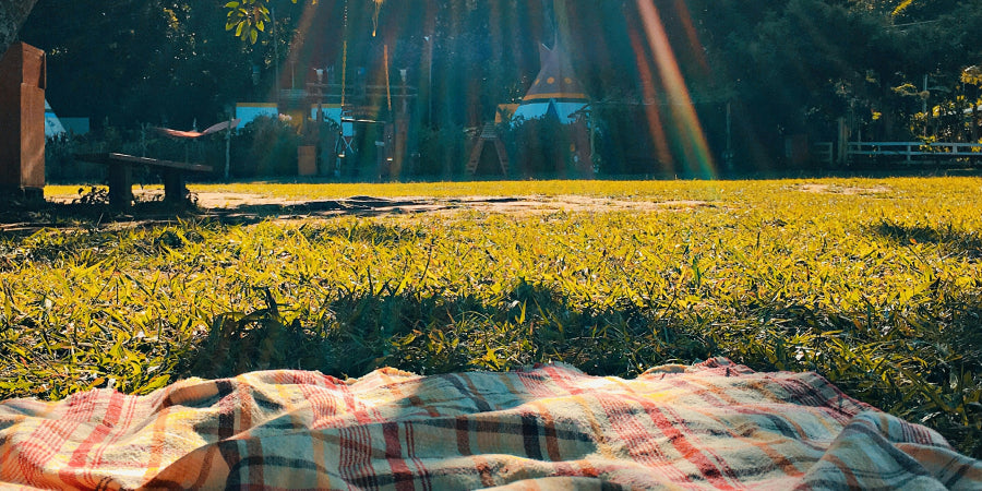 plaid picnic blanket at a park