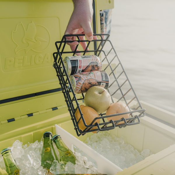 Small Protective Cases Free US Shipping Only at Beam