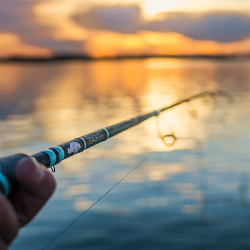 Toadfish 2-Piece Medium Heavy Fast Spinning Rod - 7'2"