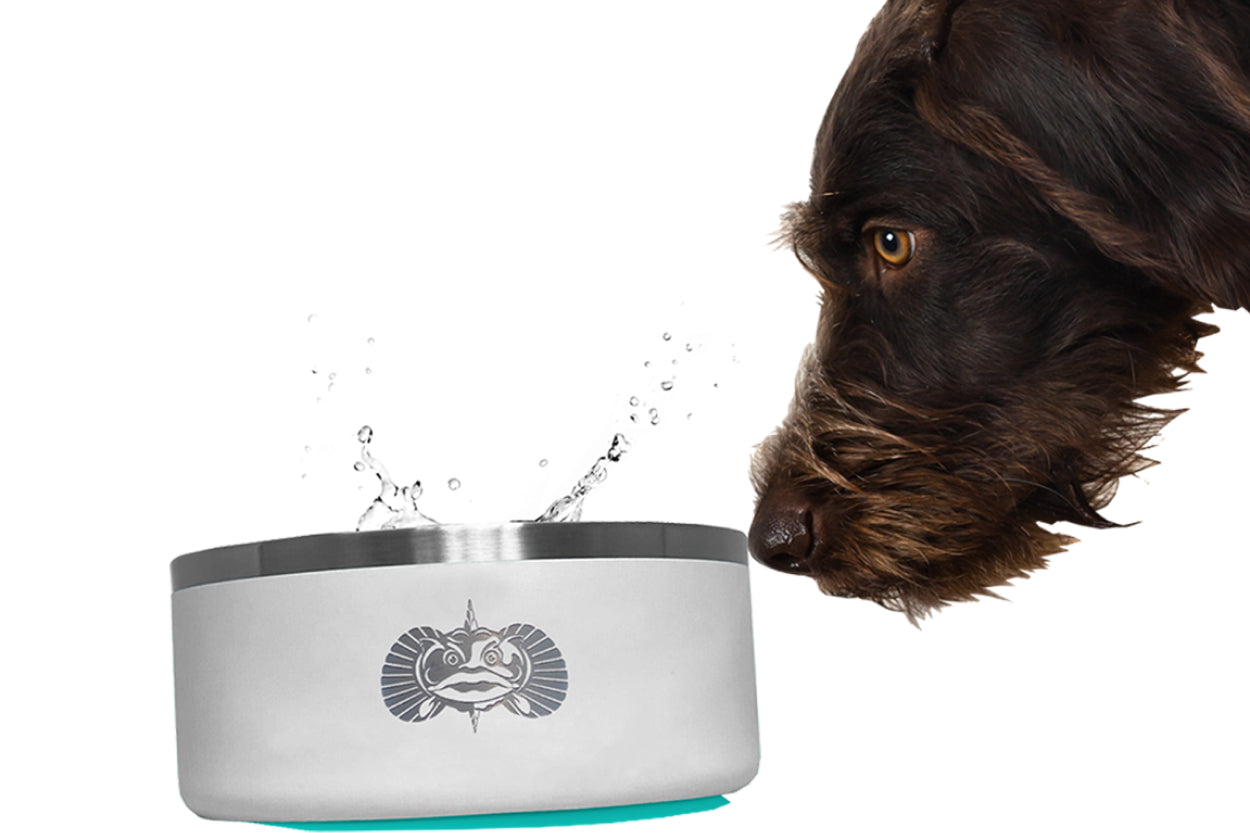 Toadfish Non-Tipping Dog Bowls - Teal